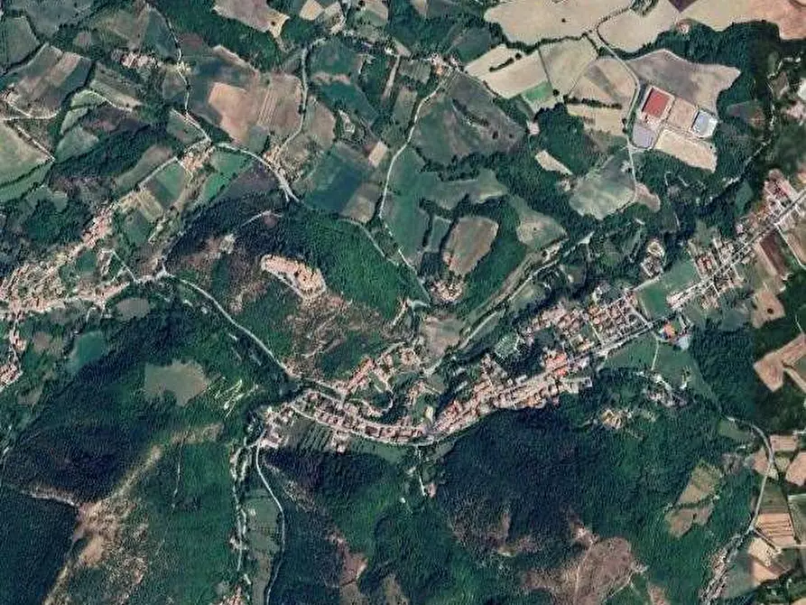 Immagine 6 di Azienda agricola in vendita  in Strada dei Magalotti a Frontone