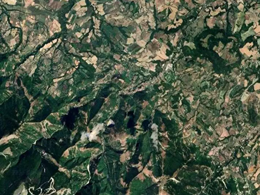 Immagine 7 di Azienda agricola in vendita  in Strada dei Magalotti a Frontone