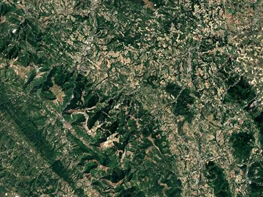 Immagine 8 di Azienda agricola in vendita  in Strada dei Magalotti a Frontone