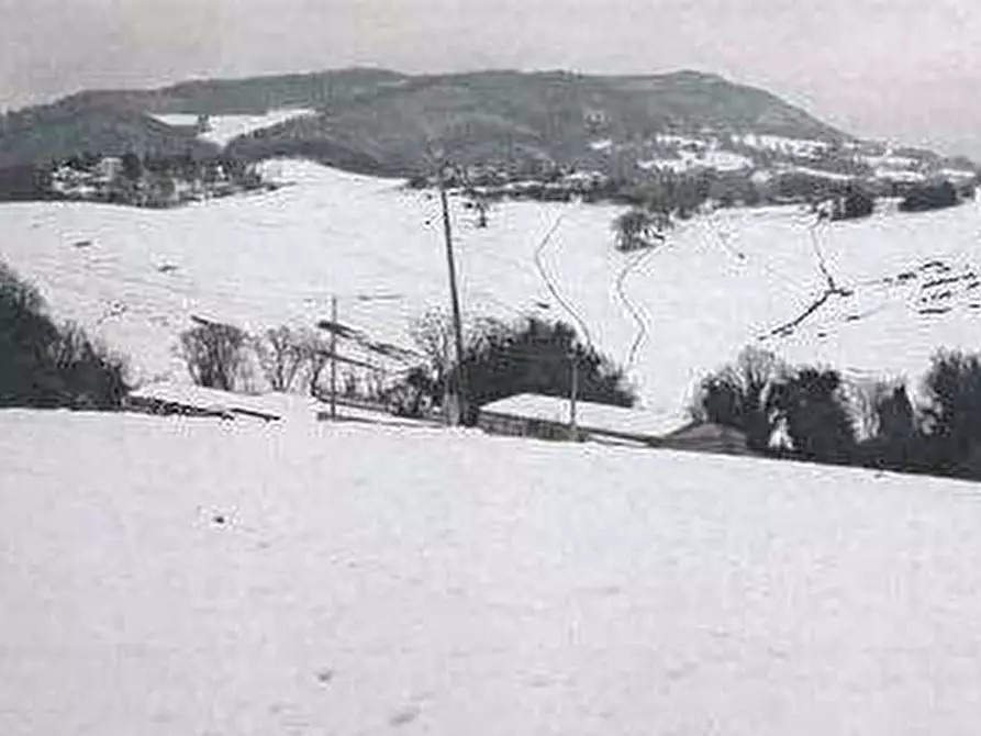 Immagine 9 di Azienda agricola in vendita  in Strada dei Magalotti a Frontone
