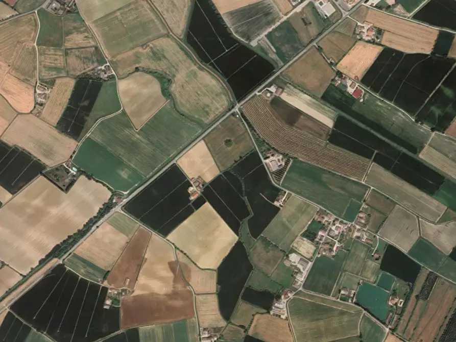 Immagine 2 di Terreno agricolo in vendita  in Str. Pioppino a Redondesco