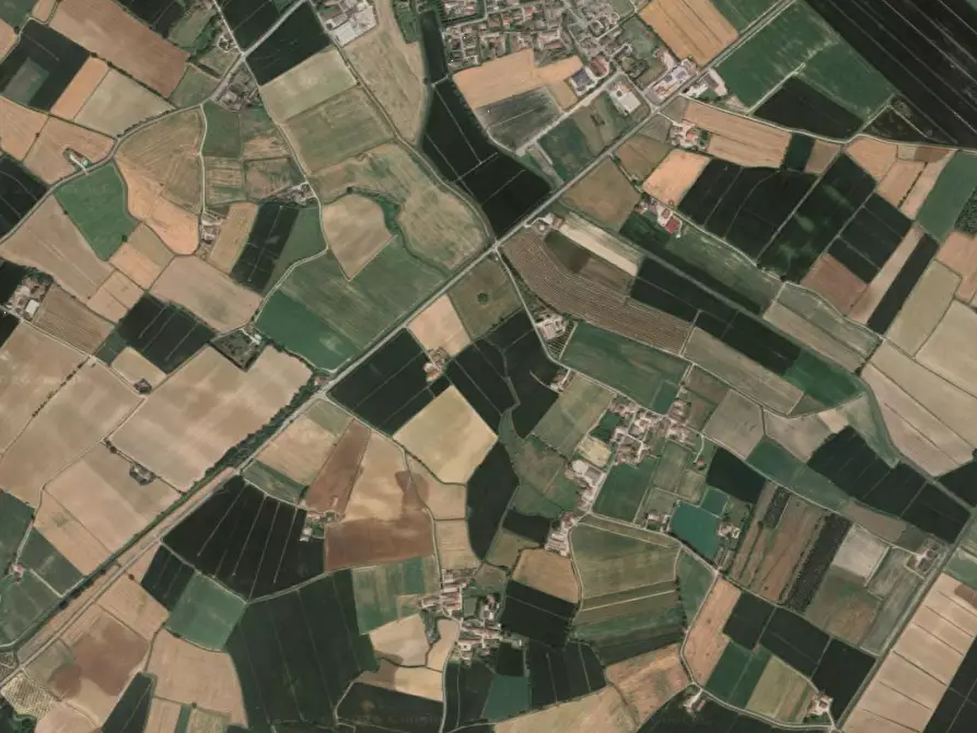 Immagine 3 di Terreno agricolo in vendita  in Str. Pioppino a Redondesco