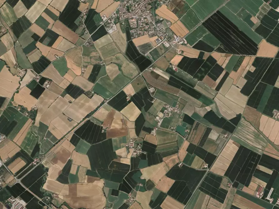 Immagine 4 di Terreno agricolo in vendita  in Str. Pioppino a Redondesco