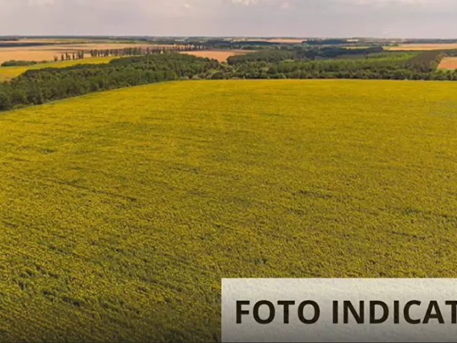 Immagine 6 di Terreno agricolo in vendita  in Frazione Ravignano a Foligno