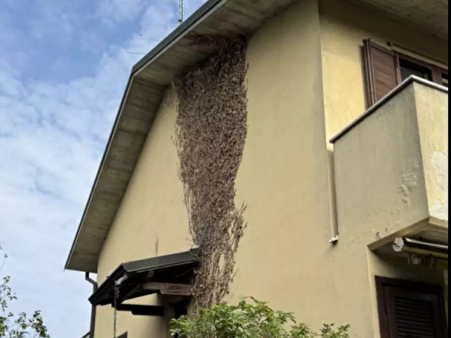 Immagine 9 di Porzione di villa in vendita  in Via Tulipani a Sordio