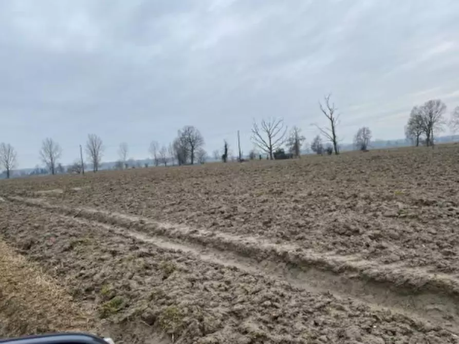 Immagine 8 di Terreno agricolo in vendita  in Cascina Livelli Goldanino a Senna Lodigiana