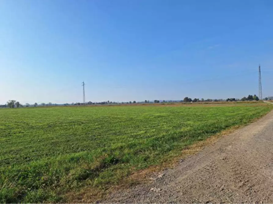 Immagine 2 di Terreno agricolo in vendita  in Via Cavour a Brembio