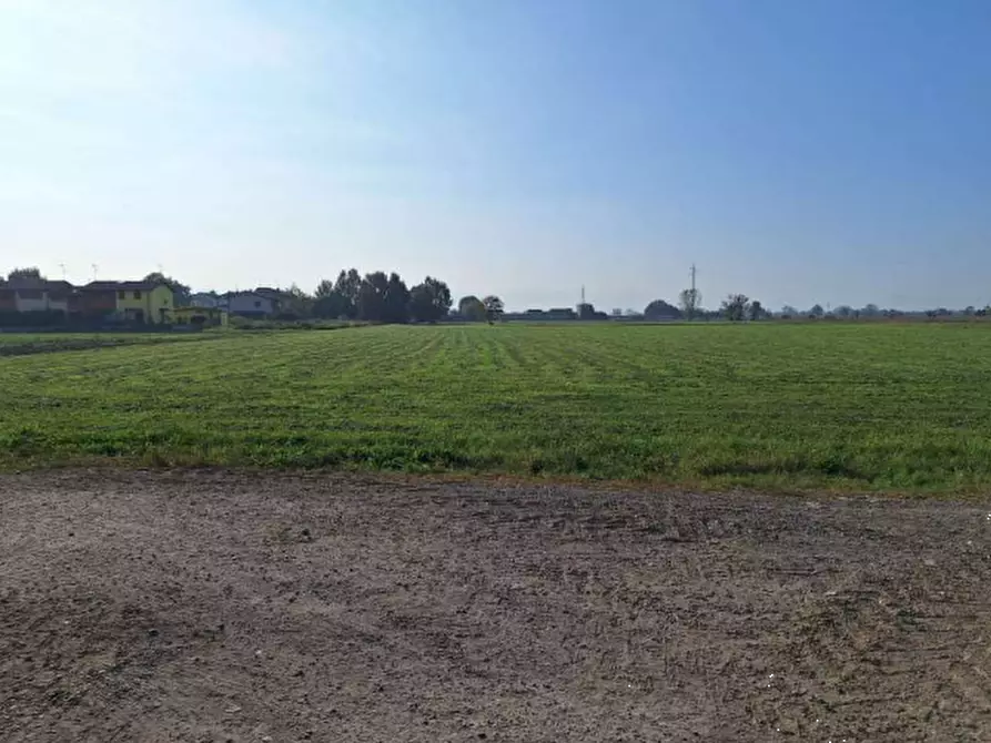 Immagine 3 di Terreno agricolo in vendita  in Via Cavour a Brembio