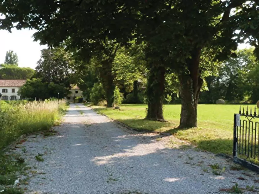 Immagine 3 di Villa in vendita  in Via Roma a Codognè