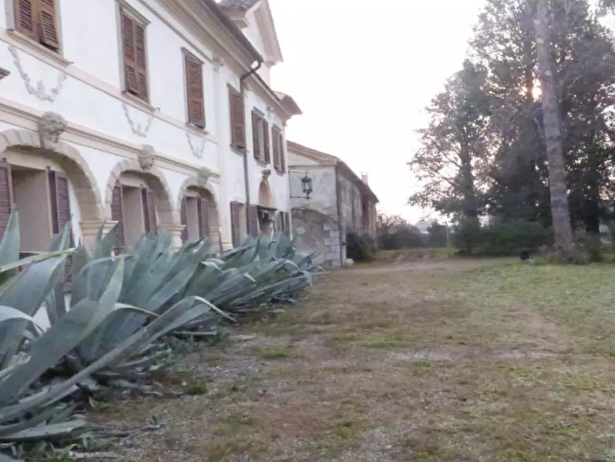 Immagine 10 di Villa in vendita  in Via Roma a Codognè