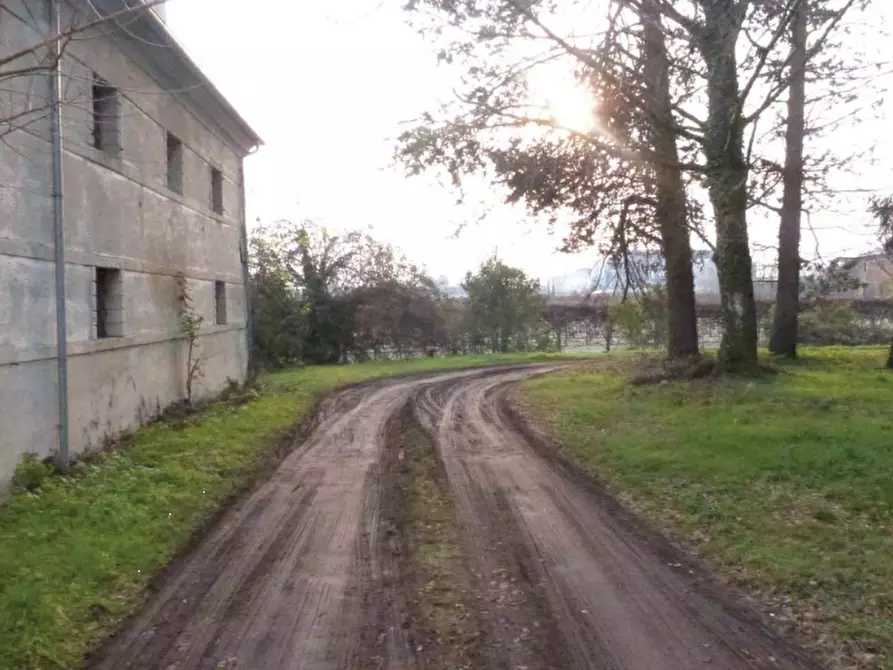 Immagine 14 di Villa in vendita  in Via Roma a Codognè