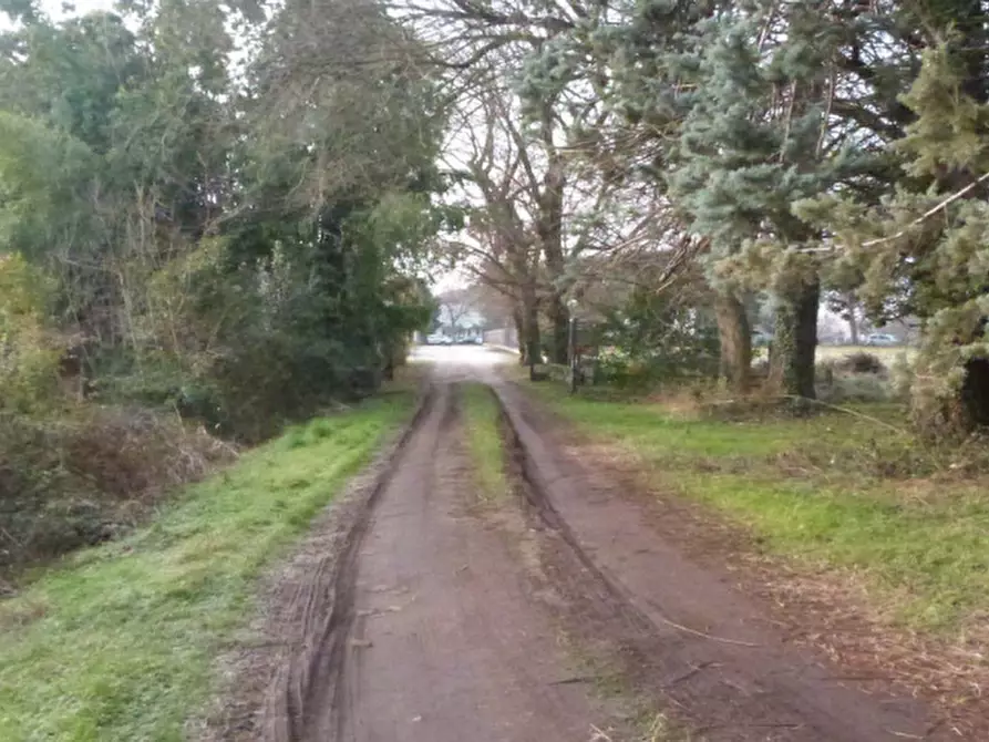 Immagine 17 di Villa in vendita  in Via Roma a Codognè