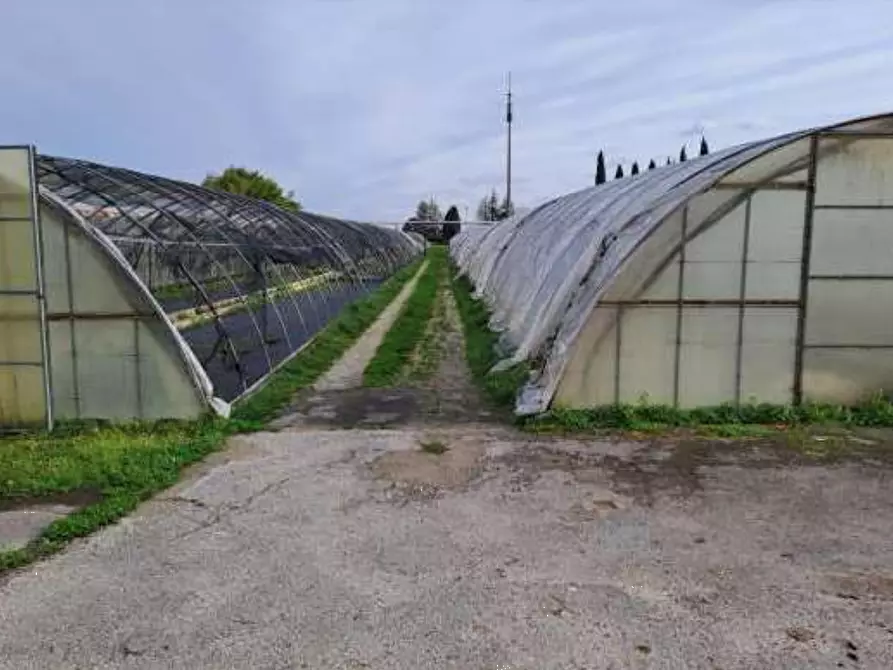 Immagine 12 di Magazzino in vendita  in Via Cinzio Cenedese a Vittorio Veneto