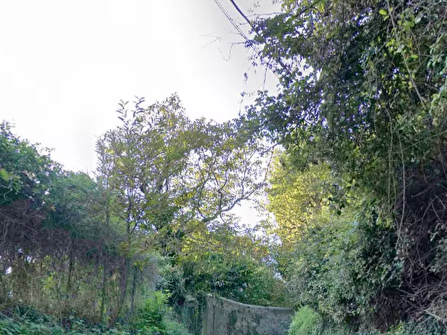 Immagine 3 di Villa in vendita  in Via Antono Cantore a Como