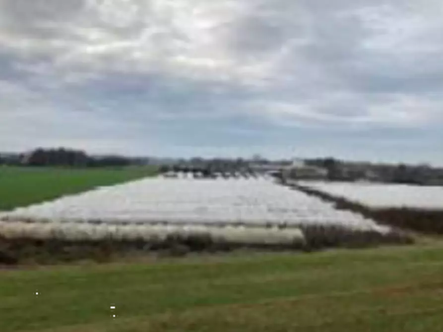 Immagine 1 di Terreno agricolo in vendita  in Località  Sermide a Sermide