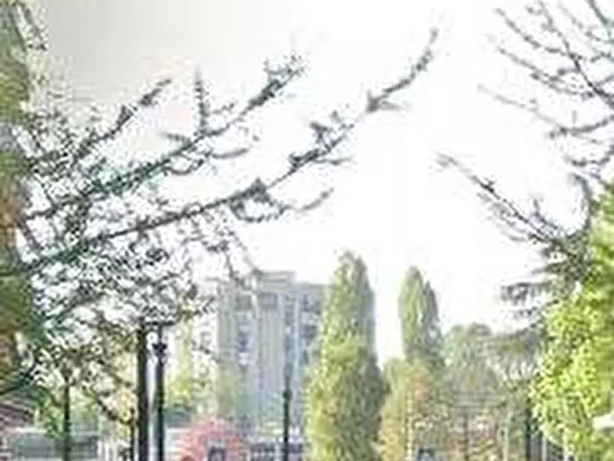 Immagine 8 di Appartamento in vendita  in Via F. Cilea a Pioltello