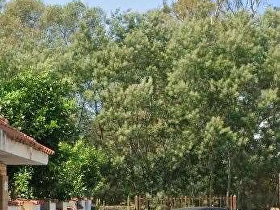 Immagine 10 di Appartamento in vendita  in Via Ripi a Nettuno