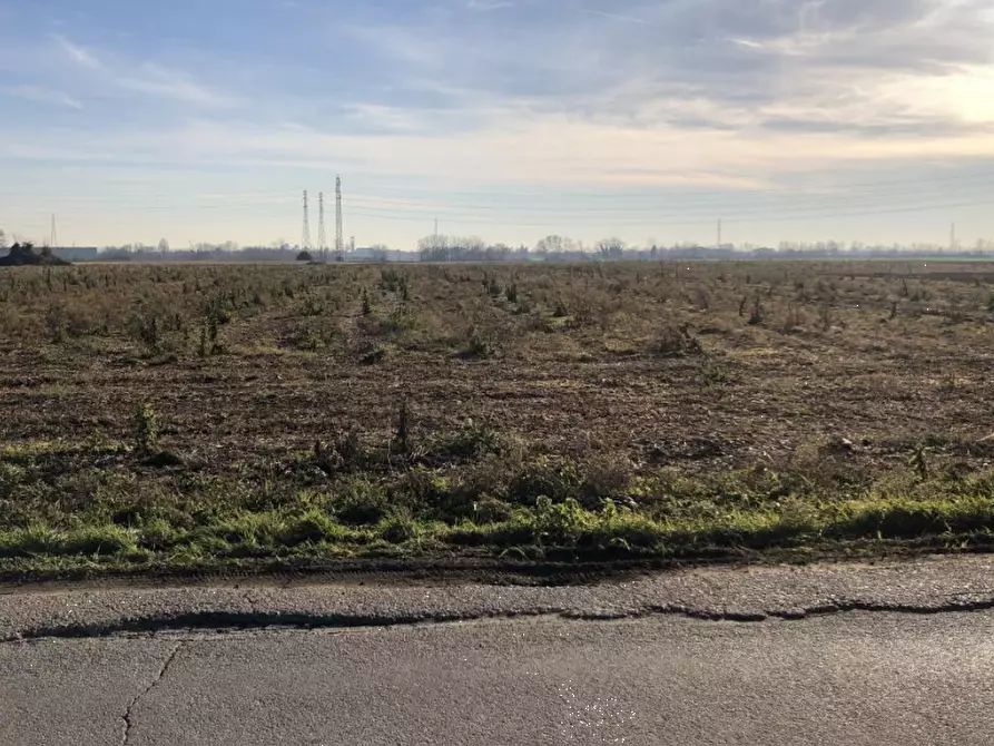 Immagine 1 di Terreno agricolo in vendita  in Via F. Guarnerio a Trezzo Sull'adda