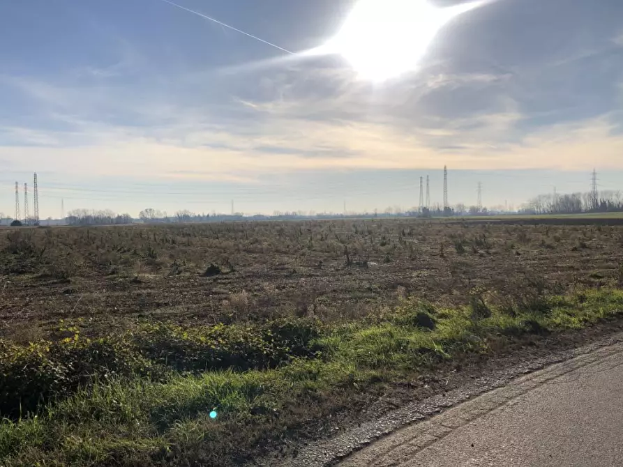 Immagine 3 di Terreno agricolo in vendita  in Via F. Guarnerio a Trezzo Sull'adda