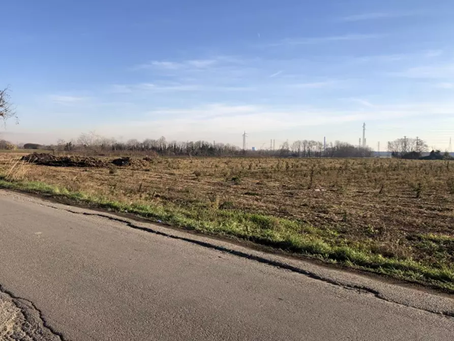 Immagine 4 di Terreno agricolo in vendita  in Via F. Guarnerio a Trezzo Sull'adda