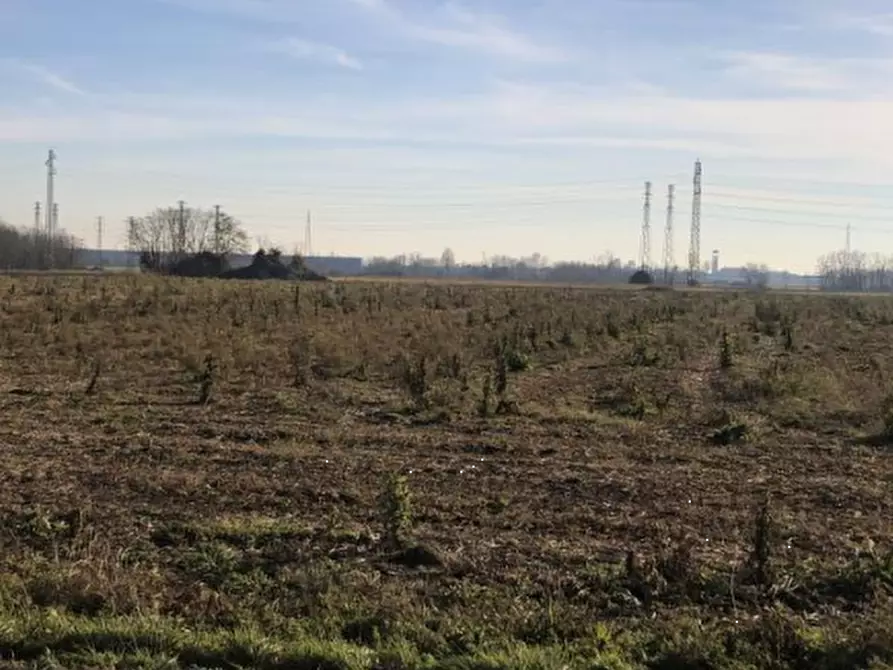 Immagine 5 di Terreno agricolo in vendita  in Via F. Guarnerio a Trezzo Sull'adda