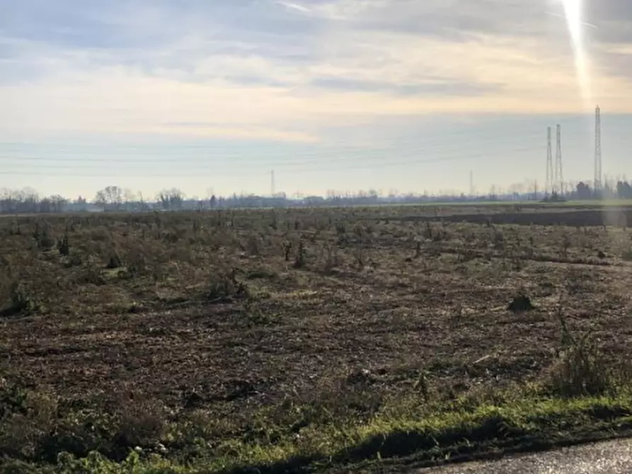 Immagine 6 di Terreno agricolo in vendita  in Via F. Guarnerio a Trezzo Sull'adda