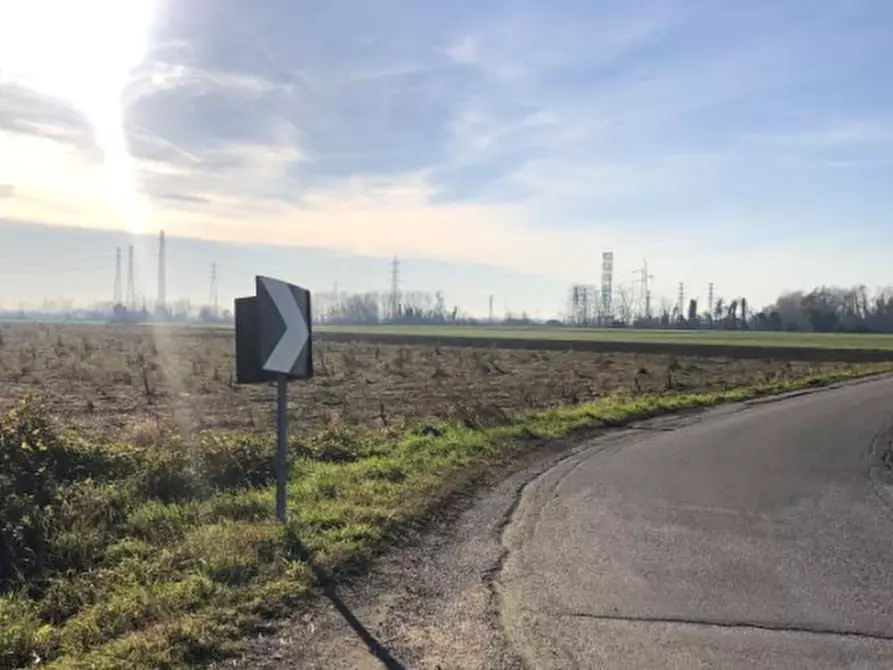 Immagine 7 di Terreno agricolo in vendita  in Via F. Guarnerio a Trezzo Sull'adda
