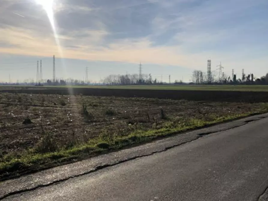 Immagine 8 di Terreno agricolo in vendita  in Via F. Guarnerio a Trezzo Sull'adda