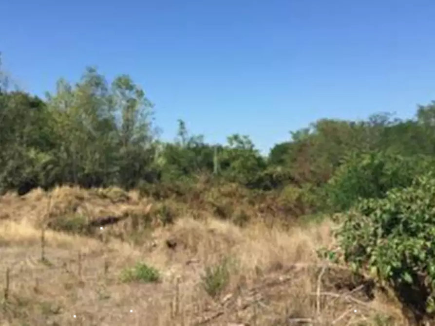 Immagine 2 di Terreno edificabile in vendita  in Strada Cascine Barbavara a Vigevano