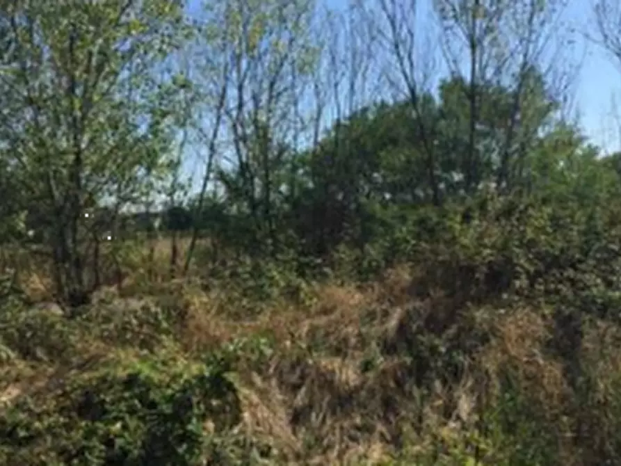Immagine 3 di Terreno edificabile in vendita  in Strada Cascine Barbavara a Vigevano