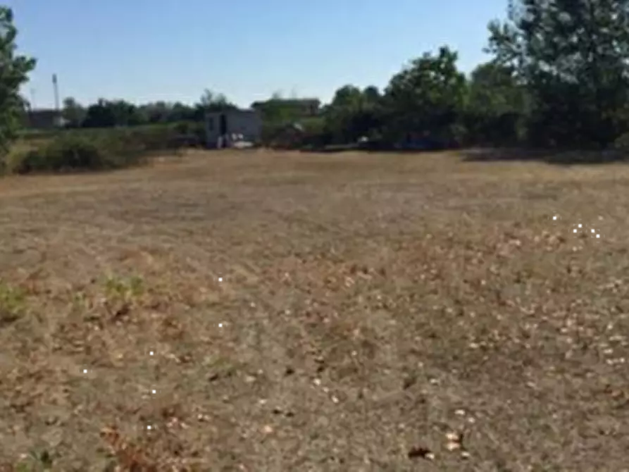 Immagine 4 di Terreno edificabile in vendita  in Strada Cascine Barbavara a Vigevano