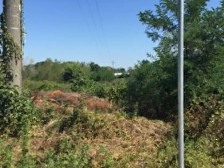Immagine 5 di Terreno edificabile in vendita  in Strada Cascine Barbavara a Vigevano
