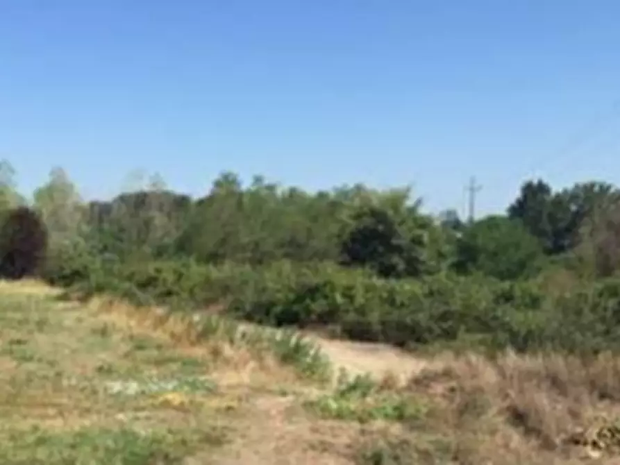 Immagine 6 di Terreno edificabile in vendita  in Strada Cascine Barbavara a Vigevano