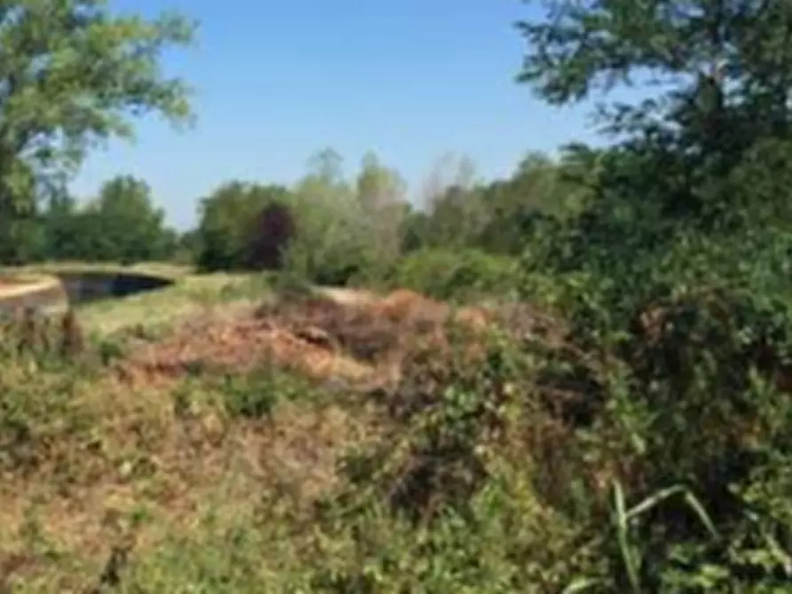 Immagine 7 di Terreno edificabile in vendita  in Strada Cascine Barbavara a Vigevano