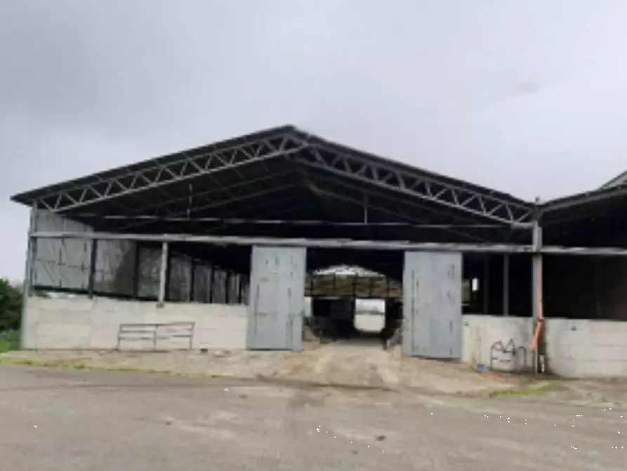 Immagine 4 di Casa indipendente in vendita  in Via Macoda di Sopra  a Ravenna