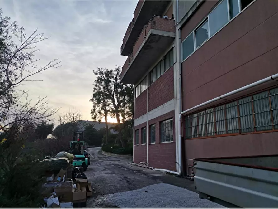 Immagine 11 di Magazzino in vendita  in Via Dolomiti a Montegranaro