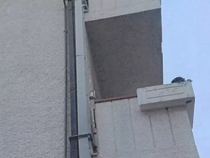 Immagine 3 di Appartamento in vendita  in Viale Trieste a Ponzano Di Fermo