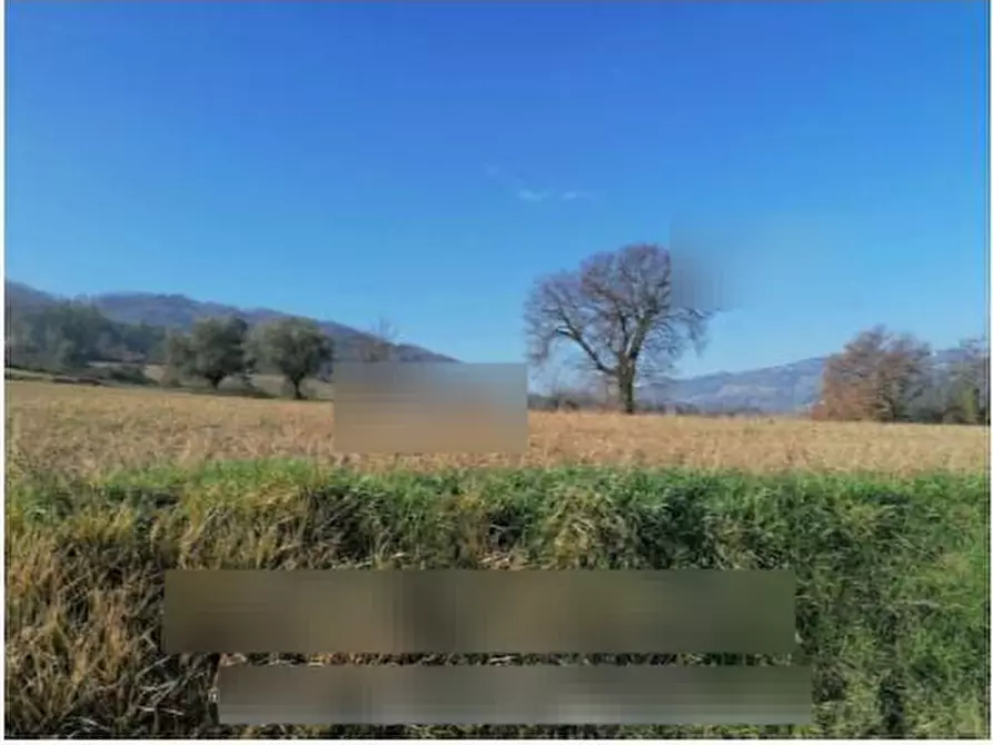 Immagine 4 di Rustico / casale in vendita  in Via Pedaneta a Gemmano