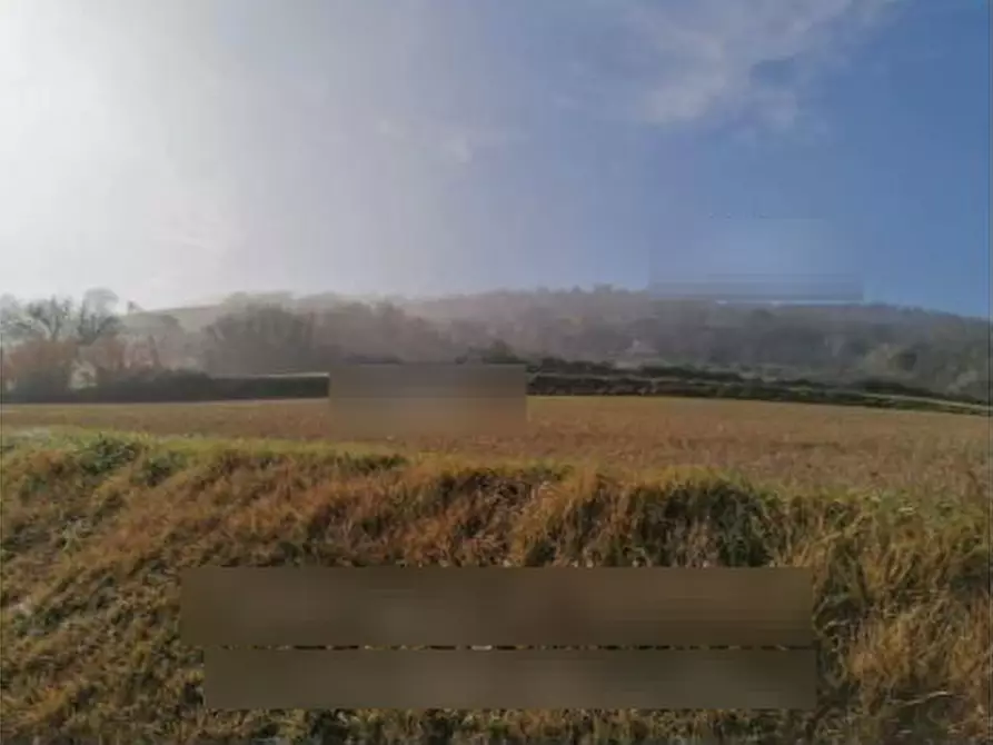 Immagine 7 di Rustico / casale in vendita  in Via Pedaneta a Gemmano