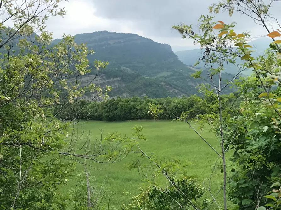 Immagine 1 di Terreno agricolo in vendita  in Località Livergnano a Loiano