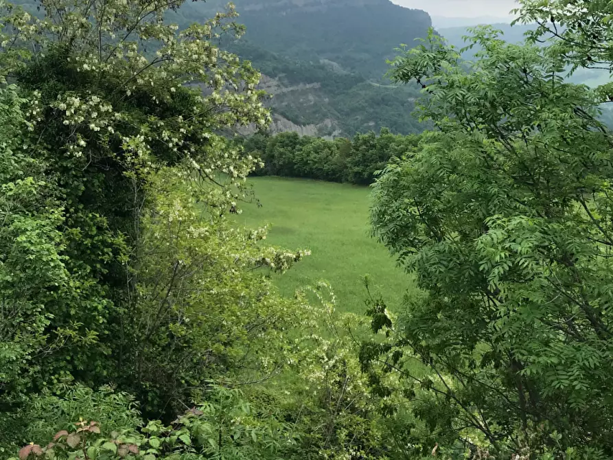 Immagine 2 di Terreno agricolo in vendita  in Località Livergnano a Loiano
