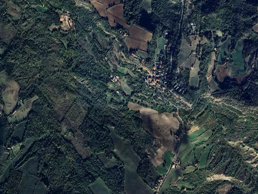 Immagine 5 di Terreno agricolo in vendita  in Località Livergnano a Loiano