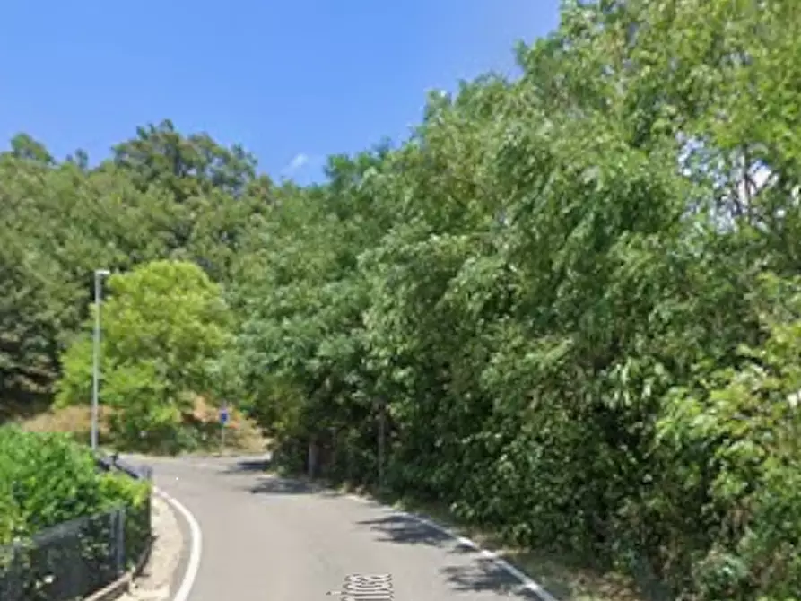 Immagine 4 di Terreno agricolo in vendita  in via Panoramica a Loiano