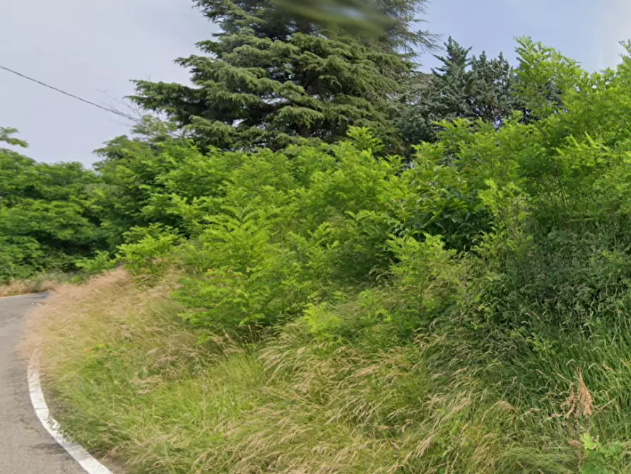 Immagine 1 di Terreno agricolo in vendita  in Via Anconella a Loiano