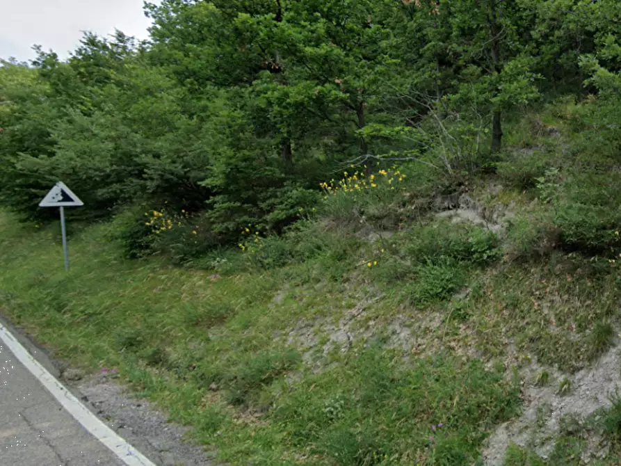 Immagine 2 di Terreno agricolo in vendita  in Via Anconella a Loiano