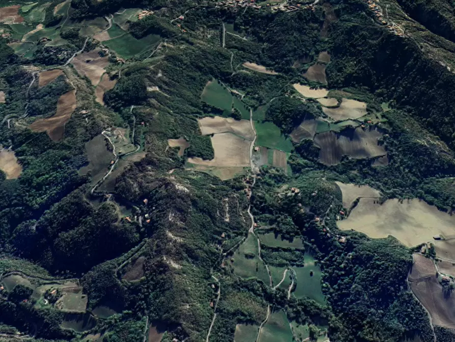 Immagine 8 di Terreno agricolo in vendita  in Via Anconella a Loiano
