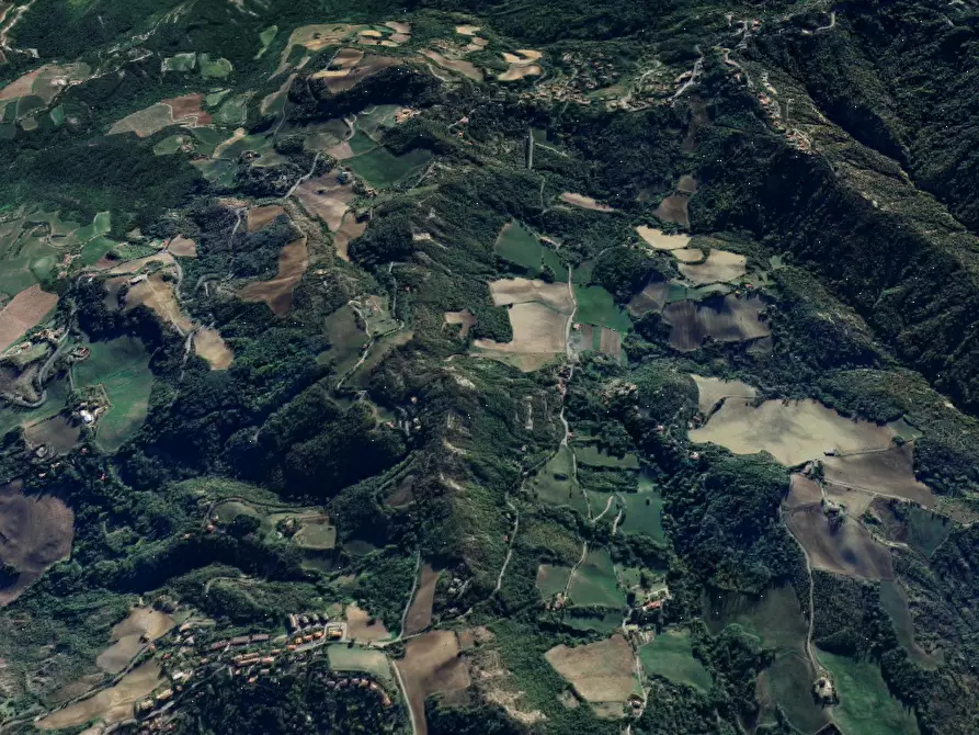 Immagine 9 di Terreno agricolo in vendita  in Via Anconella a Loiano