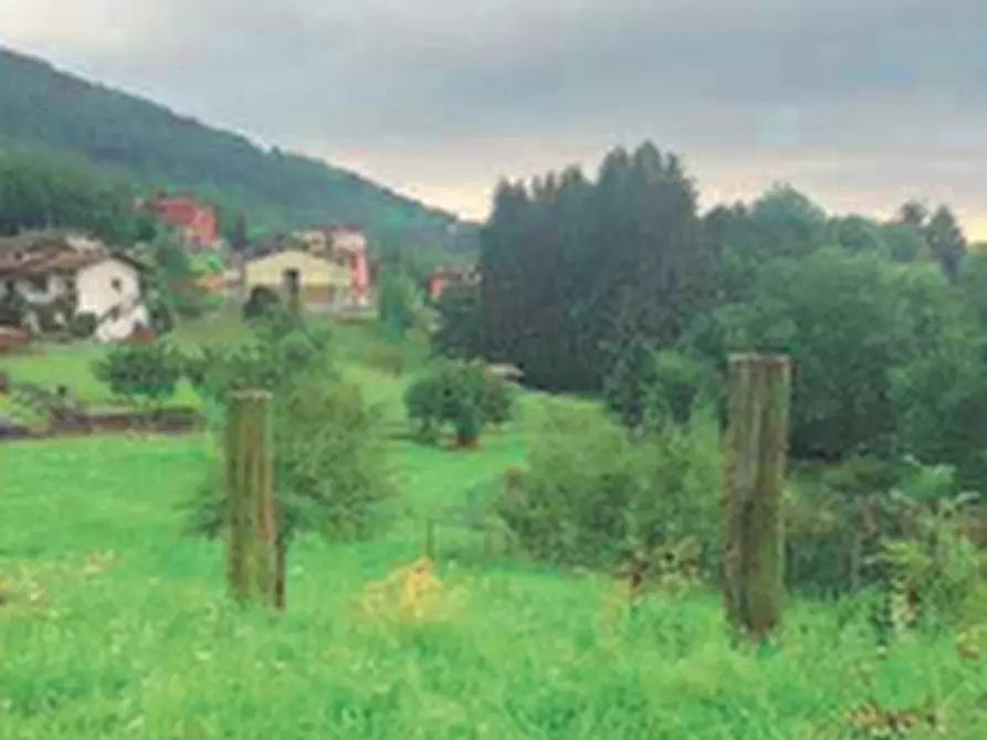 Immagine 2 di Terreno agricolo in vendita  in Via Roncola Bassa a Roncola