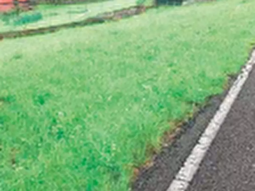 Immagine 3 di Terreno agricolo in vendita  in Via Roncola Bassa a Roncola