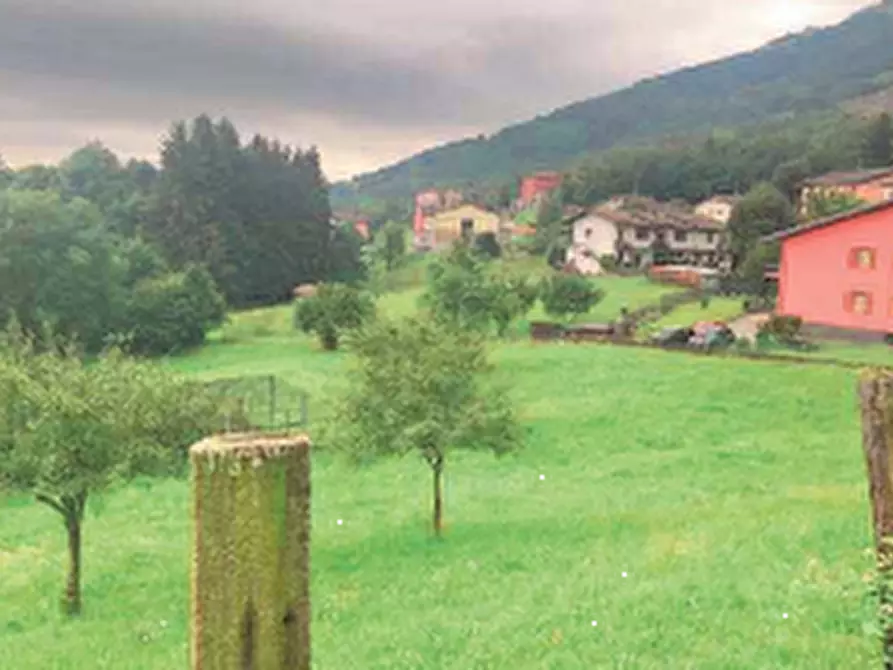 Immagine 4 di Terreno agricolo in vendita  in Via Roncola Bassa a Roncola
